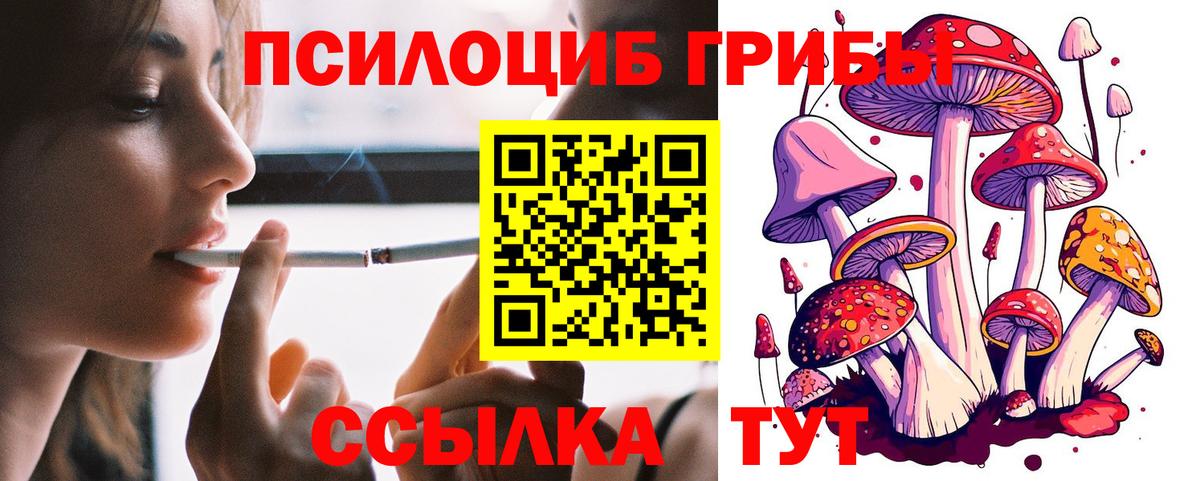 Благодарный  Псилоцибиновые грибы Psilocybe  Вход с VPN 